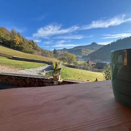 Ralph Cabin- Apuseni Mountains, Transylvania Villa Bucium  ภายนอก รูปภาพ