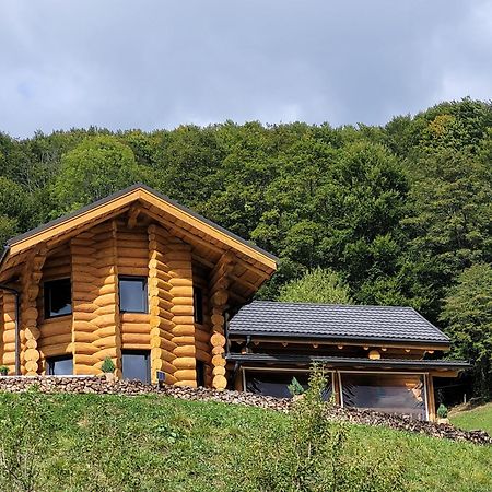 Ralph Cabin- Apuseni Mountains, Transylvania Villa Bucium  ภายนอก รูปภาพ