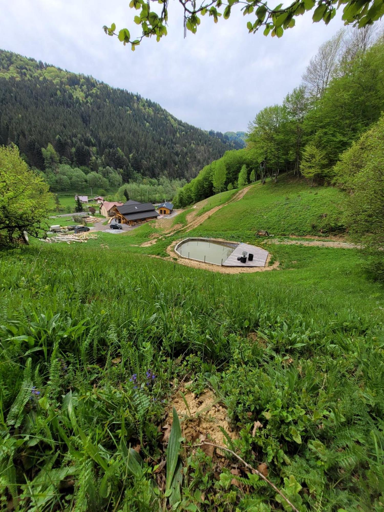 Ralph Cabin- Apuseni Mountains, Transylvania Villa Bucium  ภายนอก รูปภาพ