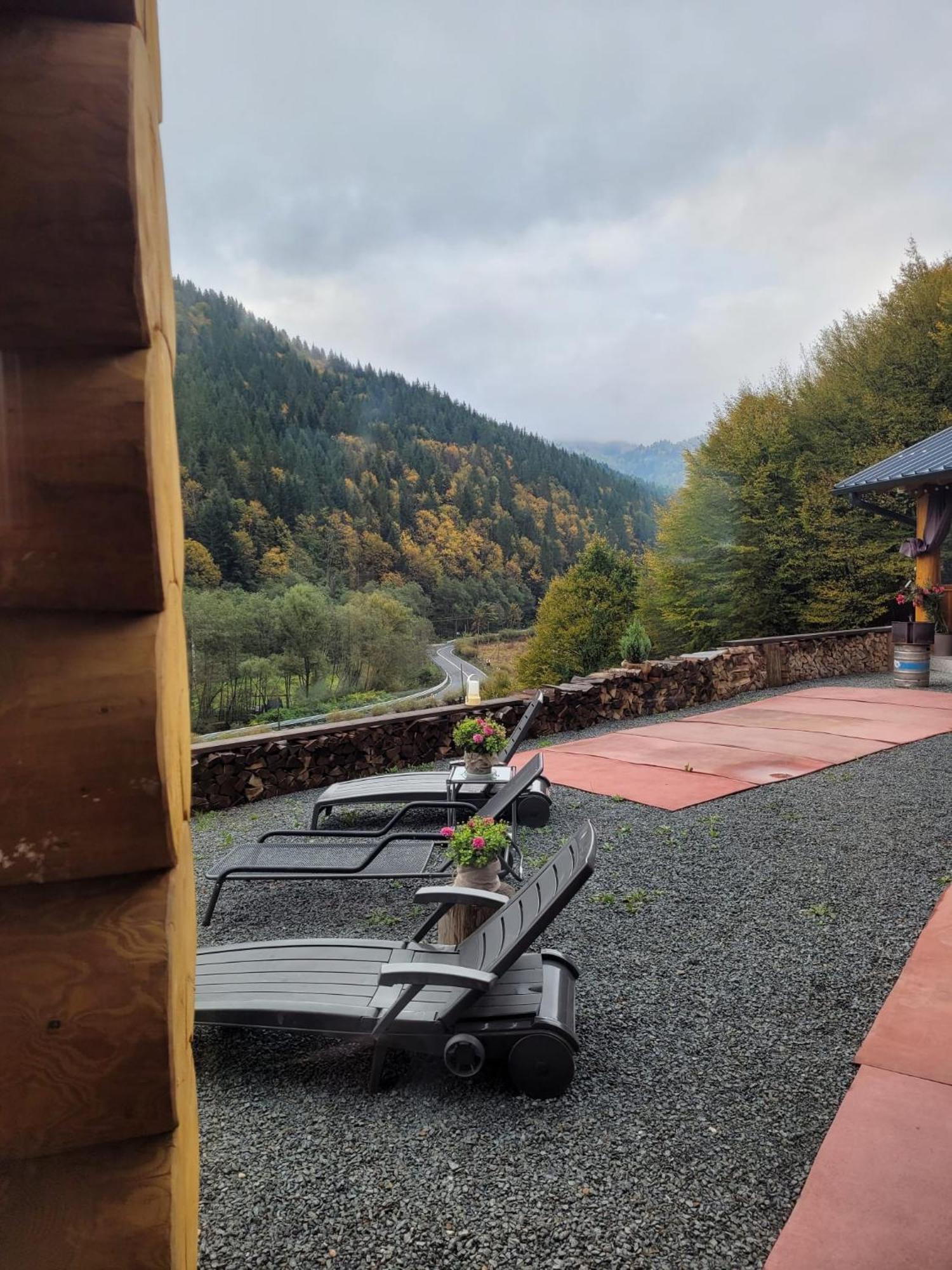 Ralph Cabin- Apuseni Mountains, Transylvania Villa Bucium  ภายนอก รูปภาพ