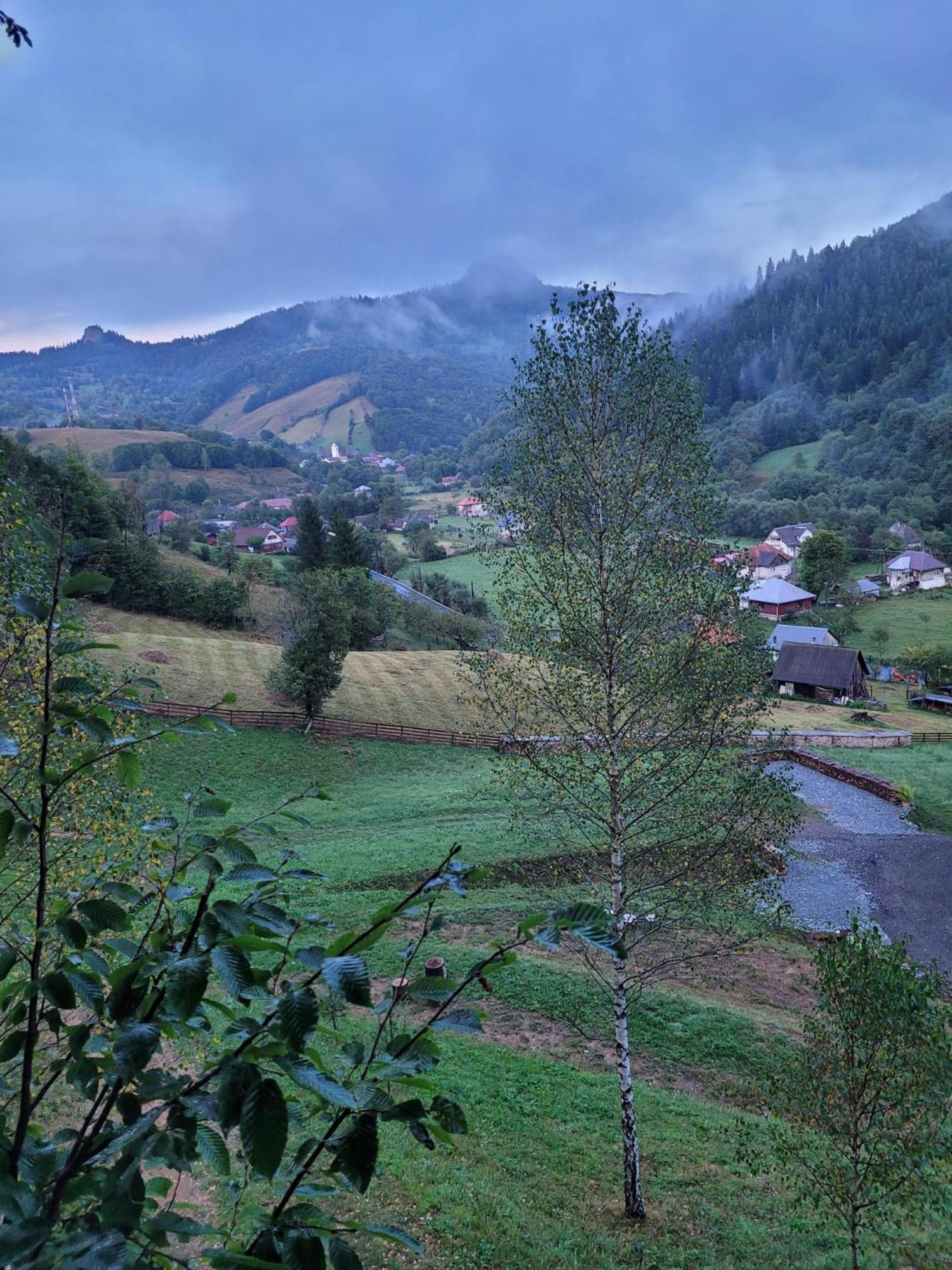 Ralph Cabin- Apuseni Mountains, Transylvania Villa Bucium  ภายนอก รูปภาพ