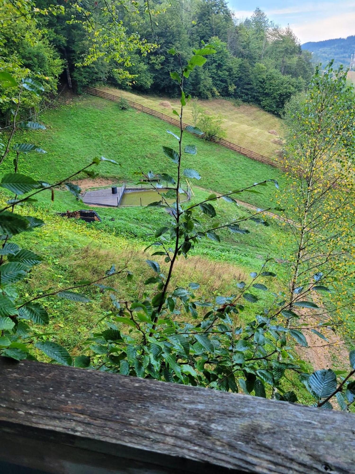 Ralph Cabin- Apuseni Mountains, Transylvania Villa Bucium  ภายนอก รูปภาพ