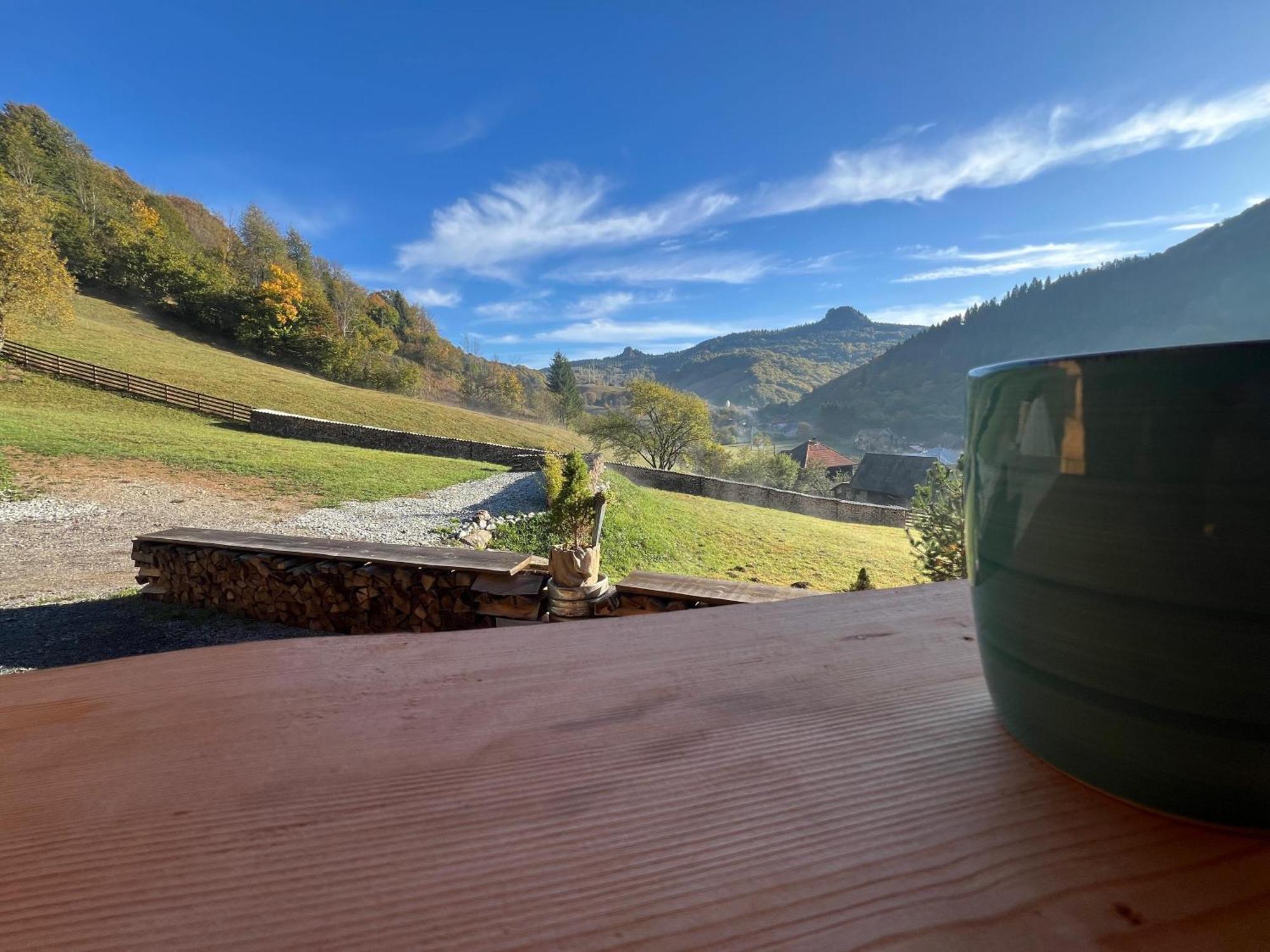 Ralph Cabin- Apuseni Mountains, Transylvania Villa Bucium  ภายนอก รูปภาพ