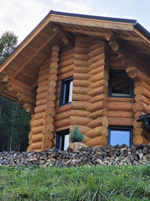 Ralph Cabin- Apuseni Mountains, Transylvania Villa Bucium  ภายนอก รูปภาพ