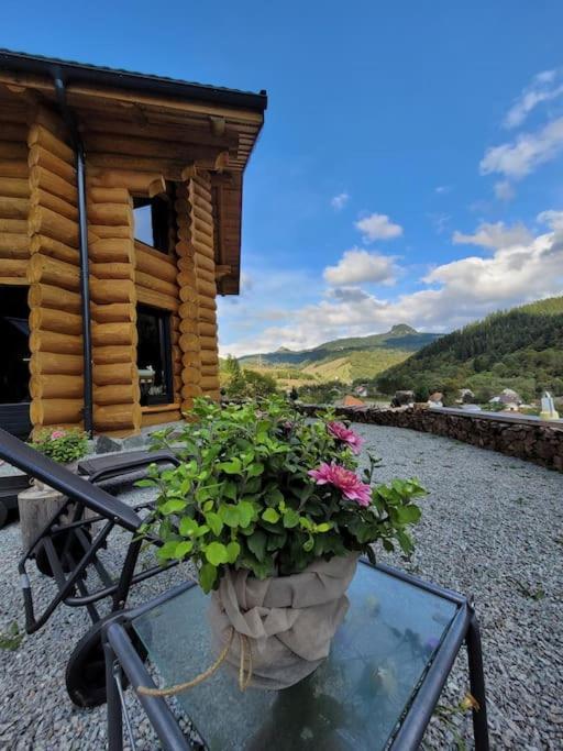 Ralph Cabin- Apuseni Mountains, Transylvania Villa Bucium  ภายนอก รูปภาพ