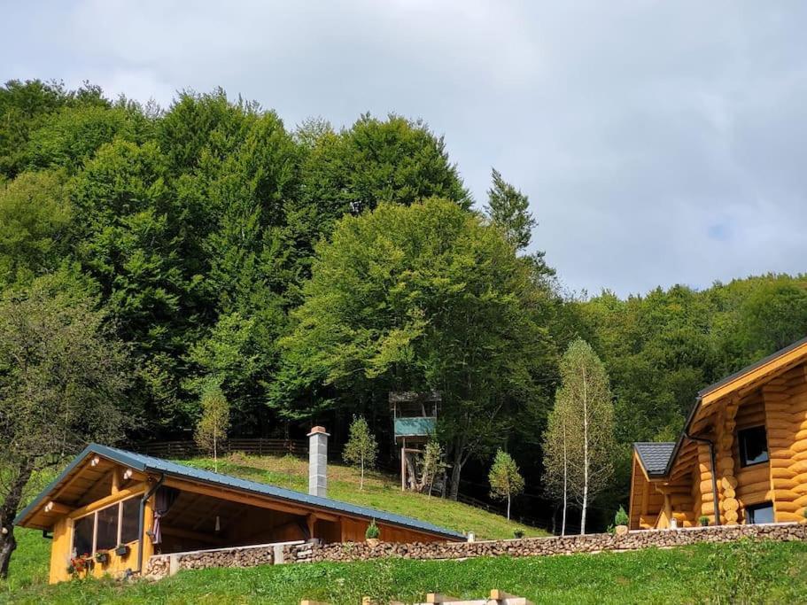 Ralph Cabin- Apuseni Mountains, Transylvania Villa Bucium  ภายนอก รูปภาพ