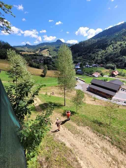 Ralph Cabin- Apuseni Mountains, Transylvania Villa Bucium  ภายนอก รูปภาพ