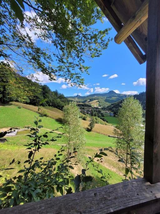 Ralph Cabin- Apuseni Mountains, Transylvania Villa Bucium  ภายนอก รูปภาพ