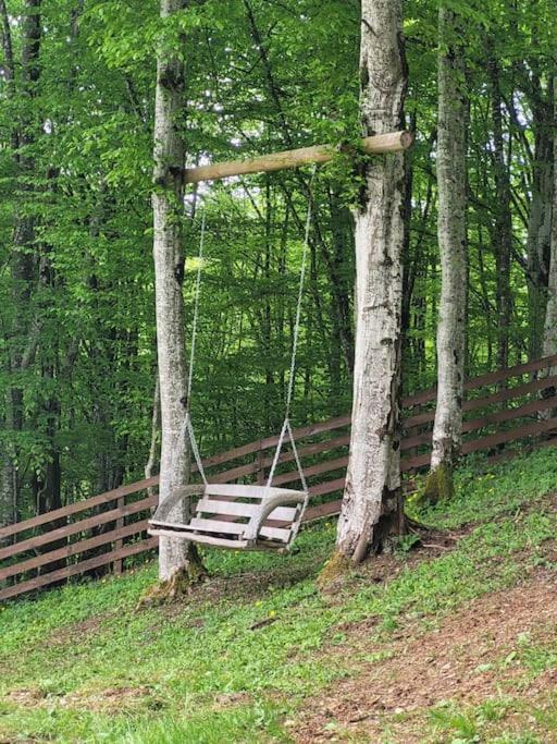 Ralph Cabin- Apuseni Mountains, Transylvania Villa Bucium  ภายนอก รูปภาพ