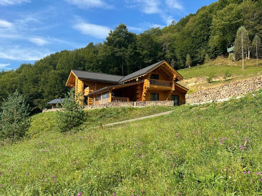 Ralph Cabin- Apuseni Mountains, Transylvania Villa Bucium  ภายนอก รูปภาพ