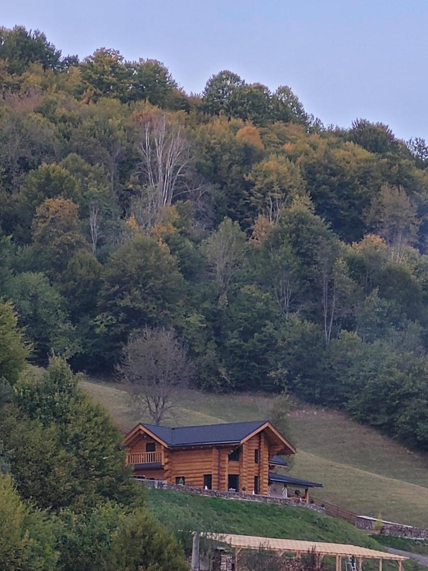 Ralph Cabin- Apuseni Mountains, Transylvania Villa Bucium  ภายนอก รูปภาพ