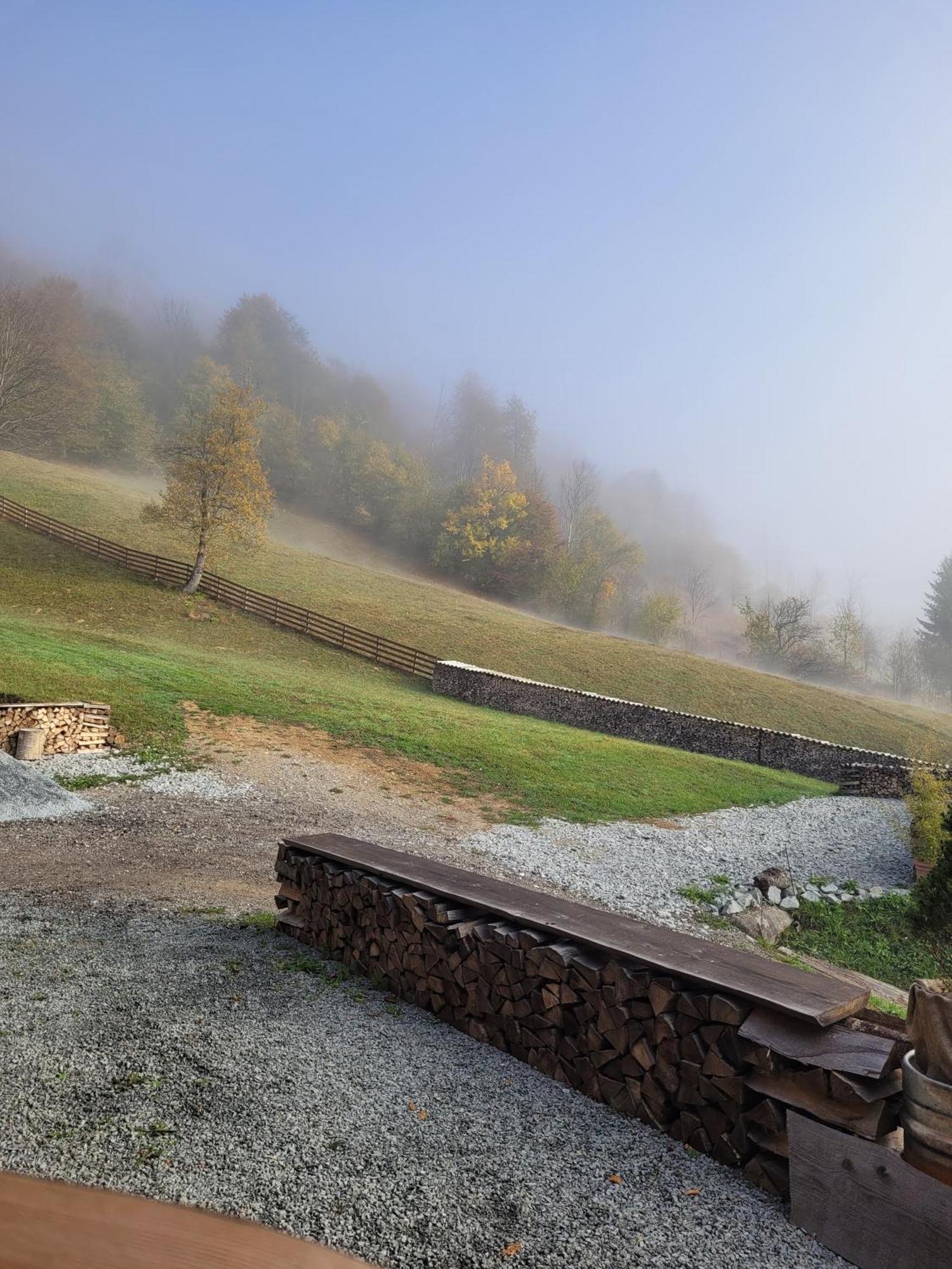 Ralph Cabin- Apuseni Mountains, Transylvania Villa Bucium  ภายนอก รูปภาพ