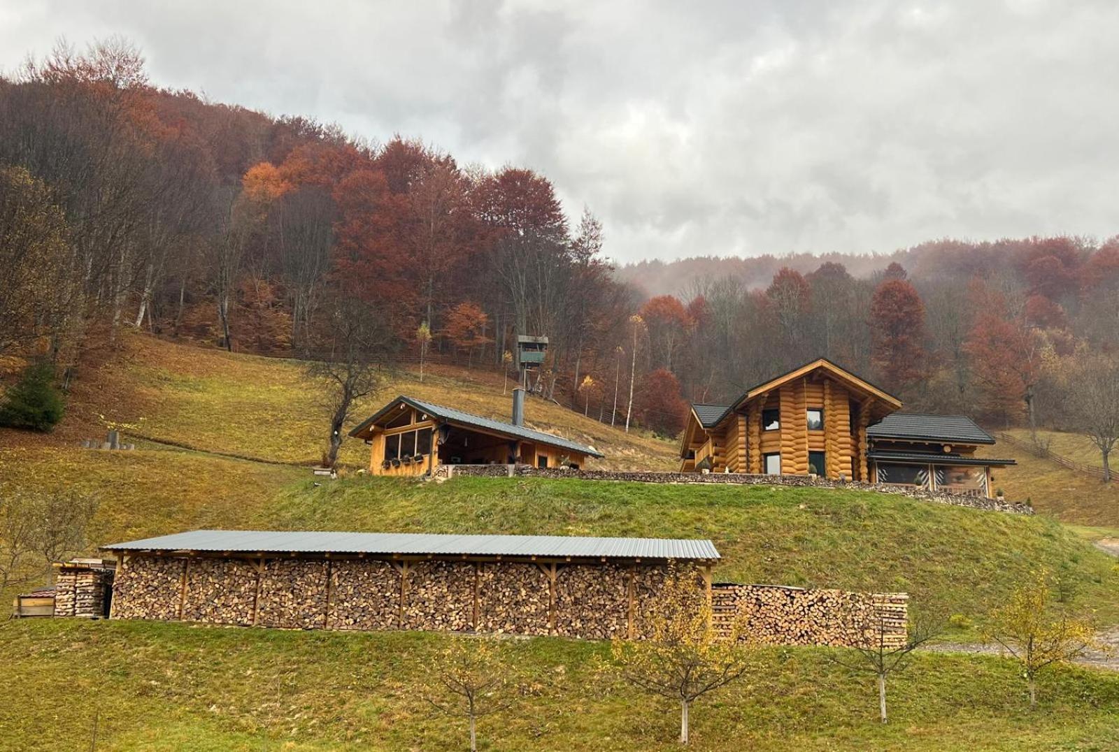 Ralph Cabin- Apuseni Mountains, Transylvania Villa Bucium  ภายนอก รูปภาพ